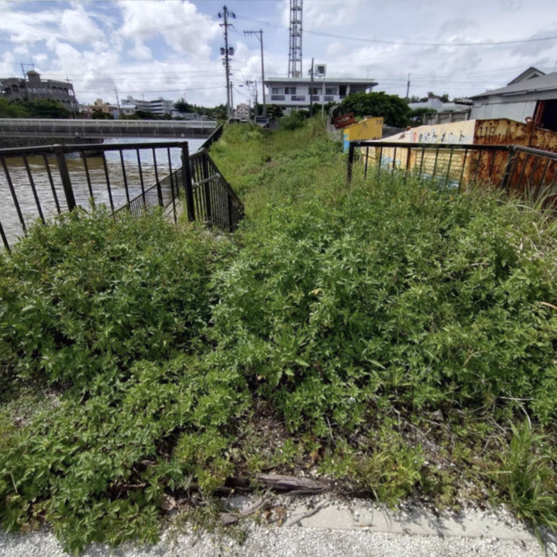石川橋川沿い遊歩道 整備前
